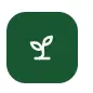 Plant these 