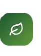 Tree Service in Edmond