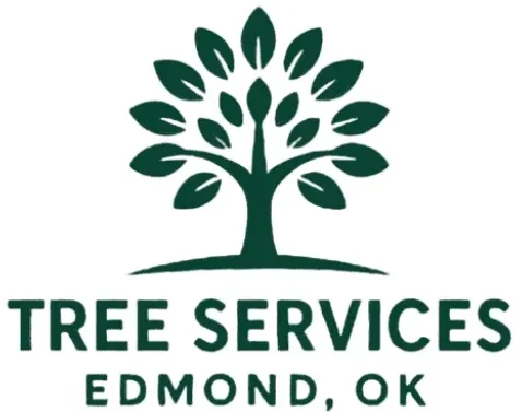 Trees Expert